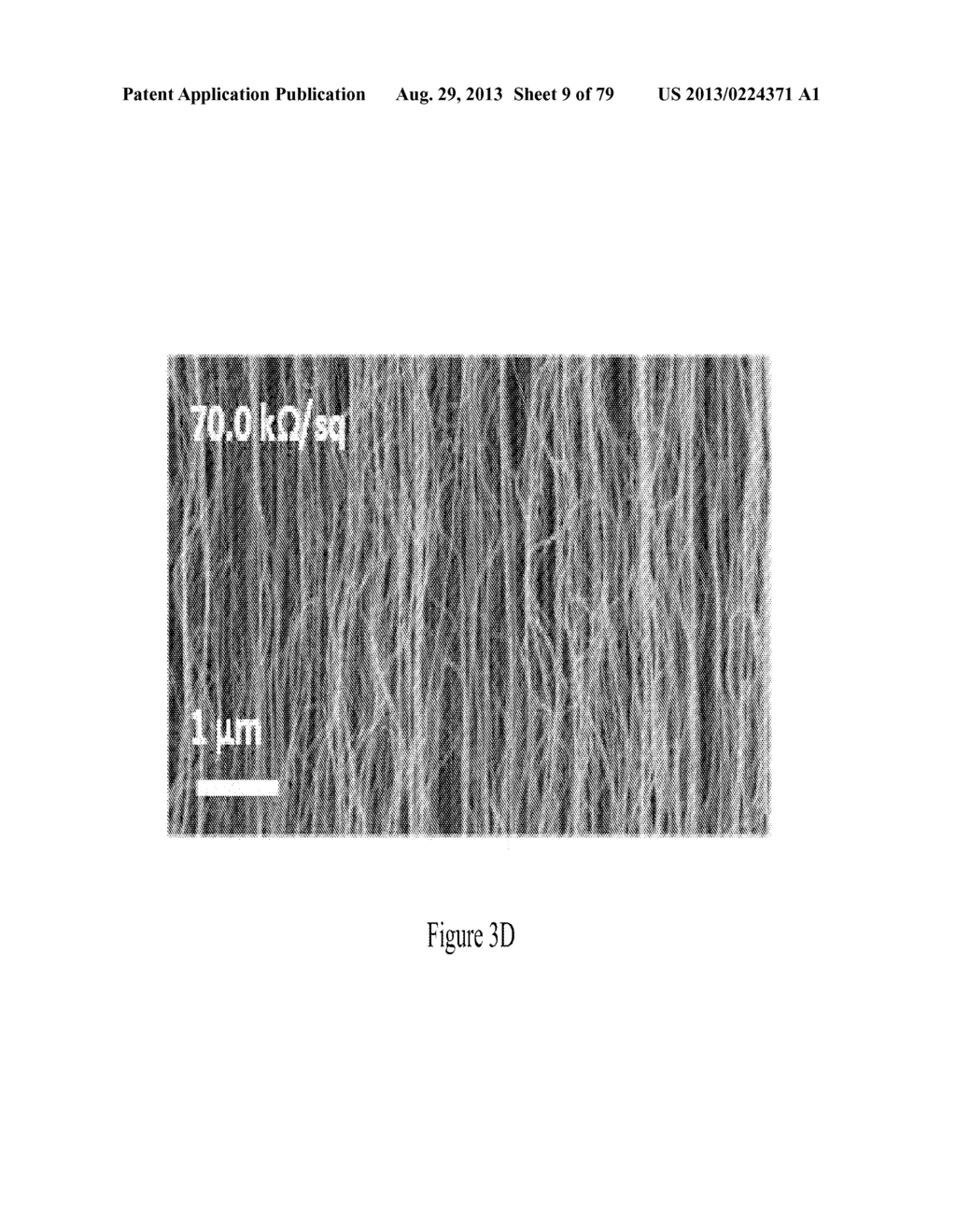 Method of Manufacturing Electrodes using Carbon nanotube Sheets - diagram, schematic, and image 10