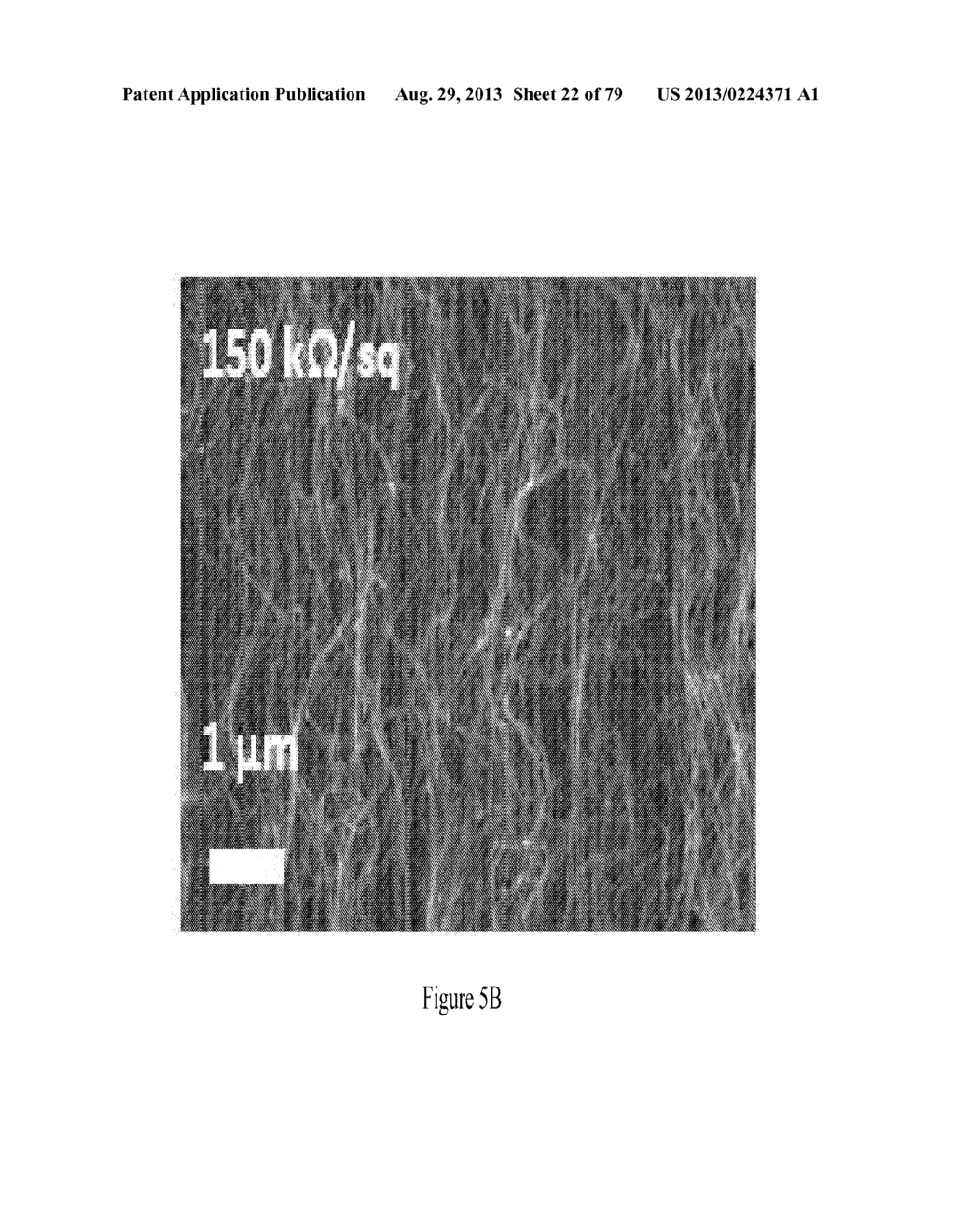 Method of Manufacturing Electrodes using Carbon nanotube Sheets - diagram, schematic, and image 23