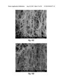 SURFACE FUNCTIONALIZATION OF CARBON NANOTUBES VIA OXIDATION FOR SUBSEQUENT     COATING diagram and image