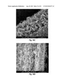 SURFACE FUNCTIONALIZATION OF CARBON NANOTUBES VIA OXIDATION FOR SUBSEQUENT     COATING diagram and image