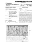 Method Of Applying A Thermal Barrier Coating diagram and image