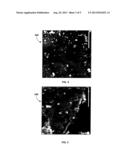 METAL NANOPARTICLE-GRAPHENE COMPOSITES AND METHODS FOR THEIR PREPARATION     AND USE diagram and image