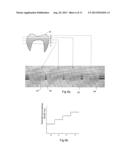 Non-Pre-Colored Multi-Layer Zirconia Dental Blank that has a Gradual     Change in Chroma through a Thickness After Sintering diagram and image