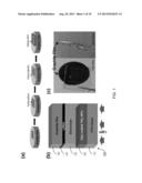 NANOSTRUCTURED CARBON ELECTRODE, METHODS OF FABRICATING AND APPLICATIONS     OF THE SAME diagram and image