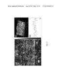 NANOSTRUCTURED CARBON ELECTRODE, METHODS OF FABRICATING AND APPLICATIONS     OF THE SAME diagram and image