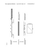 DETECTING DNA METHYLATION OF BCL2, CDKN2A AND NID2 GENES TO PREDICT     BLADDER CANCER IN HUMANS diagram and image