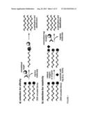 REACTIVITY-DEPENDENT AND INTERACTION-DEPENDENT PCR diagram and image