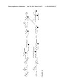 REACTIVITY-DEPENDENT AND INTERACTION-DEPENDENT PCR diagram and image