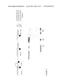 REACTIVITY-DEPENDENT AND INTERACTION-DEPENDENT PCR diagram and image