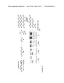 REACTIVITY-DEPENDENT AND INTERACTION-DEPENDENT PCR diagram and image