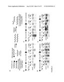 REACTIVITY-DEPENDENT AND INTERACTION-DEPENDENT PCR diagram and image