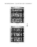 METHODS AND SYSTEMS FOR ANALYSIS OF SINGLE CELLS diagram and image