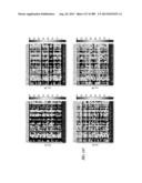 METHODS AND SYSTEMS FOR ANALYSIS OF SINGLE CELLS diagram and image