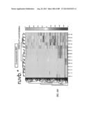 METHODS AND SYSTEMS FOR ANALYSIS OF SINGLE CELLS diagram and image