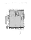 METHODS AND SYSTEMS FOR ANALYSIS OF SINGLE CELLS diagram and image