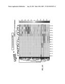 METHODS AND SYSTEMS FOR ANALYSIS OF SINGLE CELLS diagram and image