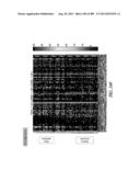 METHODS AND SYSTEMS FOR ANALYSIS OF SINGLE CELLS diagram and image