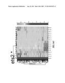 METHODS AND SYSTEMS FOR ANALYSIS OF SINGLE CELLS diagram and image