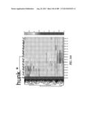 METHODS AND SYSTEMS FOR ANALYSIS OF SINGLE CELLS diagram and image