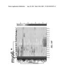 METHODS AND SYSTEMS FOR ANALYSIS OF SINGLE CELLS diagram and image