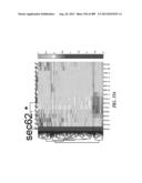 METHODS AND SYSTEMS FOR ANALYSIS OF SINGLE CELLS diagram and image