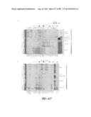 METHODS AND SYSTEMS FOR ANALYSIS OF SINGLE CELLS diagram and image