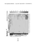 METHODS AND SYSTEMS FOR ANALYSIS OF SINGLE CELLS diagram and image