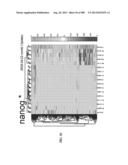 METHODS AND SYSTEMS FOR ANALYSIS OF SINGLE CELLS diagram and image