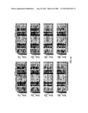 METHODS AND SYSTEMS FOR ANALYSIS OF SINGLE CELLS diagram and image