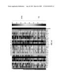 METHODS AND SYSTEMS FOR ANALYSIS OF SINGLE CELLS diagram and image