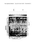 METHODS AND SYSTEMS FOR ANALYSIS OF SINGLE CELLS diagram and image