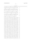 METHOD OF EXAMINING POLYCYSTIC KIDNEY DISEASE AND METHOD OF SCREENING FOR     THERAPEUTIC AGENT OF THE DISEASE diagram and image