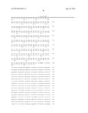 METHOD OF EXAMINING POLYCYSTIC KIDNEY DISEASE AND METHOD OF SCREENING FOR     THERAPEUTIC AGENT OF THE DISEASE diagram and image