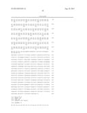 METHOD OF EXAMINING POLYCYSTIC KIDNEY DISEASE AND METHOD OF SCREENING FOR     THERAPEUTIC AGENT OF THE DISEASE diagram and image