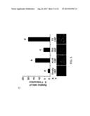 TEX14 PEPTIDES AS NOVEL ANTITUMOR AGENTS diagram and image