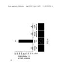 TEX14 PEPTIDES AS NOVEL ANTITUMOR AGENTS diagram and image