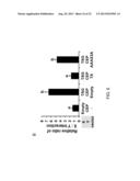TEX14 PEPTIDES AS NOVEL ANTITUMOR AGENTS diagram and image