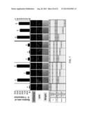 TEX14 PEPTIDES AS NOVEL ANTITUMOR AGENTS diagram and image