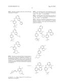 Phosphorus Derivatives as Kinase Inhibitors diagram and image