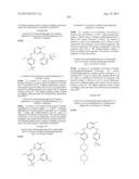 Phosphorus Derivatives as Kinase Inhibitors diagram and image