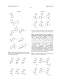 Phosphorus Derivatives as Kinase Inhibitors diagram and image