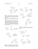 Phosphorus Derivatives as Kinase Inhibitors diagram and image