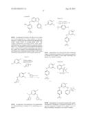 Phosphorus Derivatives as Kinase Inhibitors diagram and image