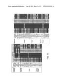 PROTEASOME INHIBITORS AND USES THEREOF diagram and image