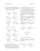 INHIBITORS OF THE RENAL OUTER MEDULLARY POTASSIUM CHANNEL diagram and image