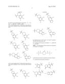 INHIBITORS OF THE RENAL OUTER MEDULLARY POTASSIUM CHANNEL diagram and image