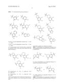 INHIBITORS OF THE RENAL OUTER MEDULLARY POTASSIUM CHANNEL diagram and image