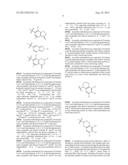 INHIBITORS OF THE RENAL OUTER MEDULLARY POTASSIUM CHANNEL diagram and image