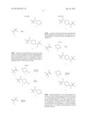 INHIBITORS OF THE RENAL OUTER MEDULLARY POTASSIUM CHANNEL diagram and image