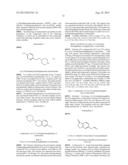 INHIBITORS OF THE RENAL OUTER MEDULLARY POTASSIUM CHANNEL diagram and image